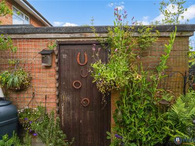 Picture 29